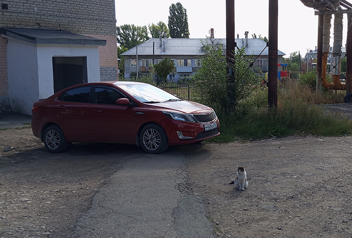 В Вольске автохамка едва не сбила пенсионера и припарковалась на тротуаре