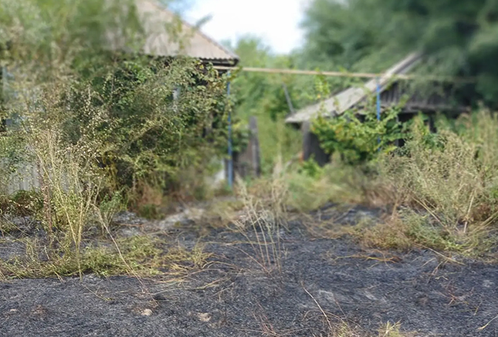 Село в Вольском районе ежедневно ждет пожара из-за проводов в зарослях