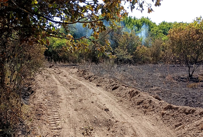 Неосторожное обращение с огнем привело к пожару в вольском лесу