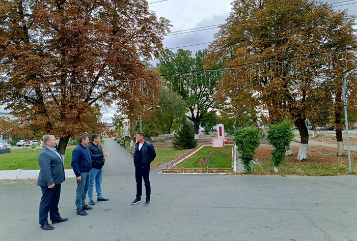 Исторический дуб хотят сделать символом центрального сквера Вольска