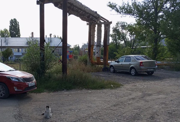 Жители Вольска раскритиковали Шевырева за голую теплотрассу