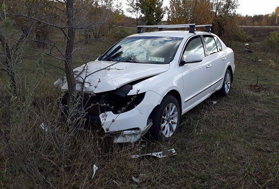 На выезде из Вольска иномарка протаранила несколько деревьев и знаков