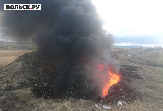 В селе под Вольском сожгли 94 свиньи