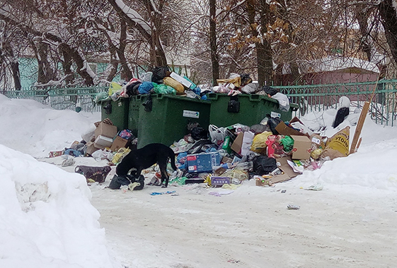 В Вольске продолжили поджигать мусорные контейнеры